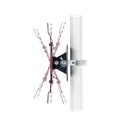 SUPPORT DE PLAFOND CCTV POUR UN ÉCRAN MOYENNE TAILLE INCLINABLE ET UNE CAMÉRA DÔME