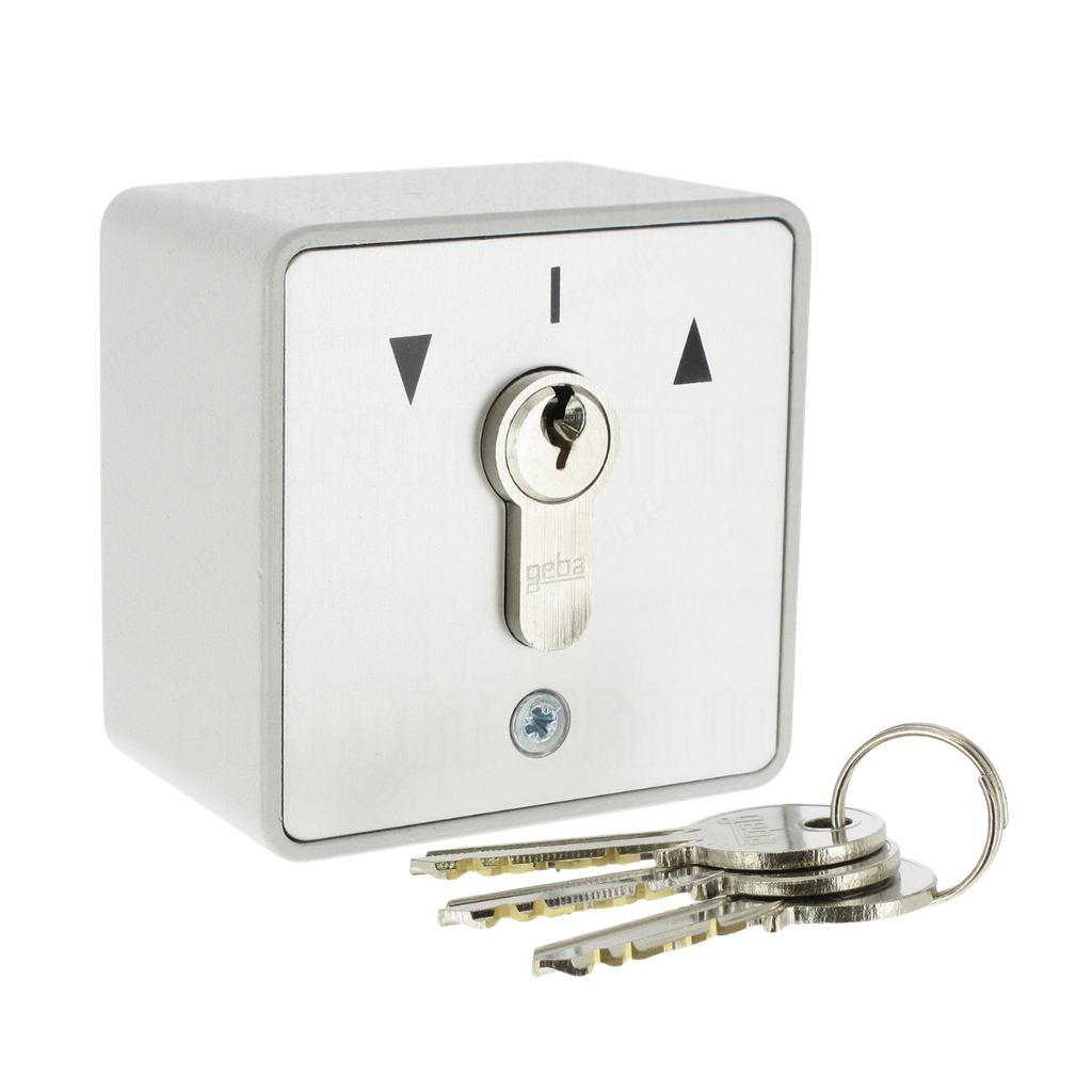 Sélecteur saillie - 2 contacts M/A - avec barillet (MSAPZ2-MA)