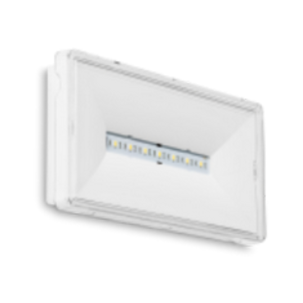 S-A1S 65 - BAES Ambiance  Etanche SATI 1h-390lm - IP65 (BT-BAES-A1S-IP65)