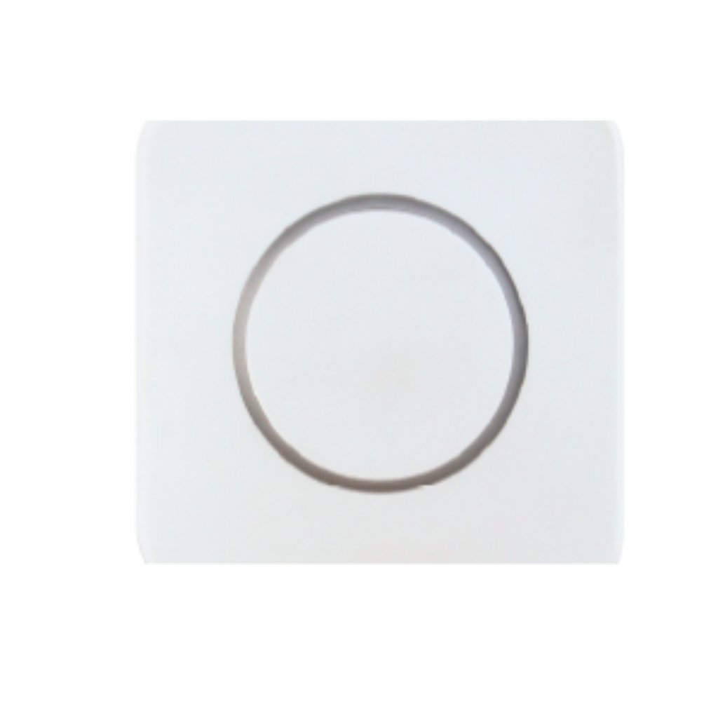 Couvercle blanc pour CLEAN SWITCH (CLEANSWITCHCOUVBLC)