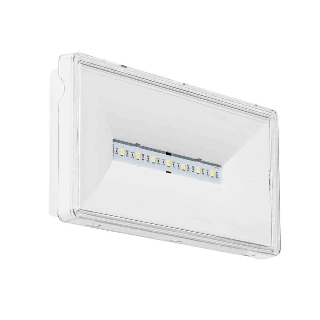 S-A1S-D2 Bloc Ambiance Adressable - IP44 - 390 lm- NF (BT-ADR-S-A1S-D2)