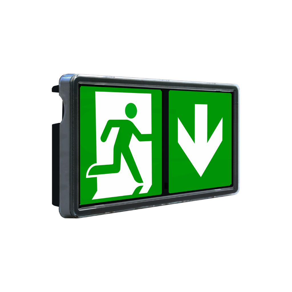 BAES Evacuation Etanche BLACK - ONE-E1S / IP65 / 143lm NF (BT-ONE-E1SIP65NOIR)