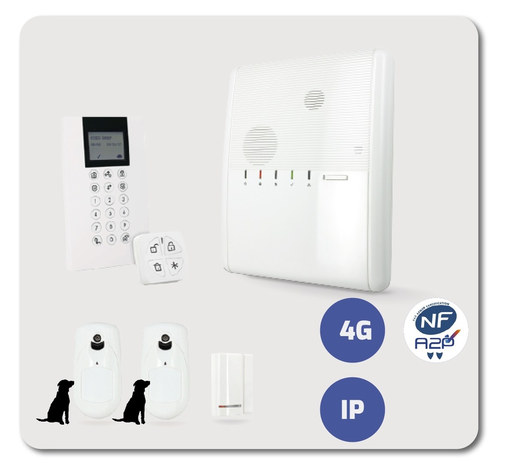 Kit AGILITY-IP4G - clavier Panda - 1 Contact magnétique- 1 PIRCAM