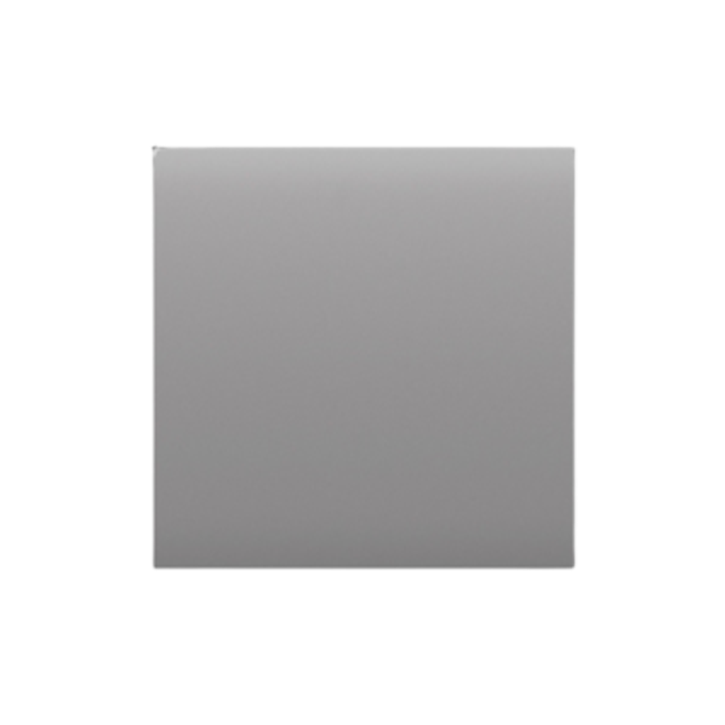 Ajax CenterButton (1-gang/2-way) [55] fog кнопка