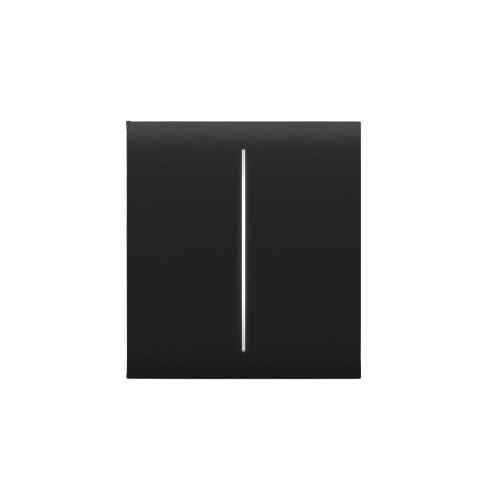 Ajax CenterButton (2-gang) [55] black  [BASELINE]