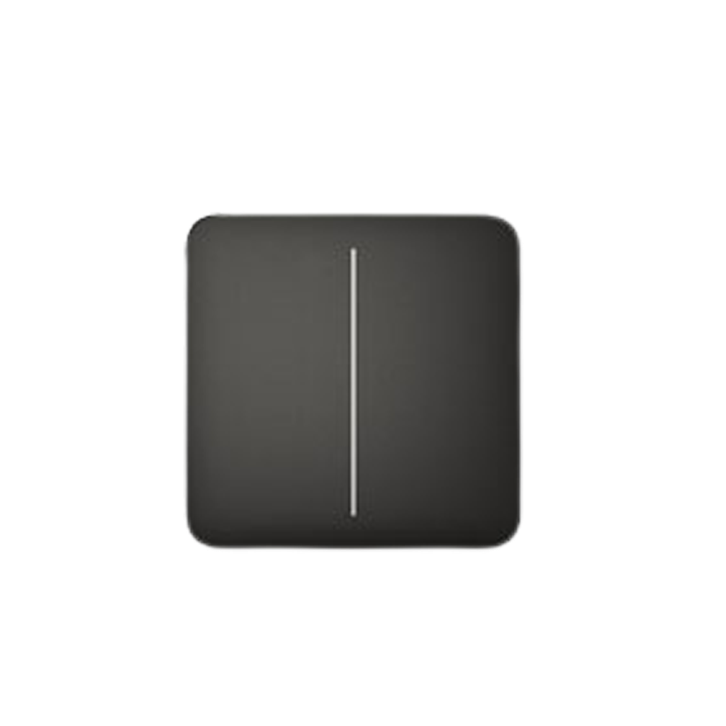 Ajax SoloButton (2-gang) [55] black  [BASELINE]