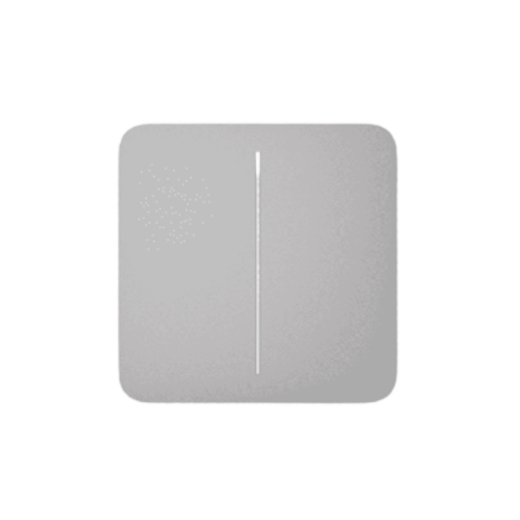 Ajax SoloButton (2-gang) [55] fog кнопка