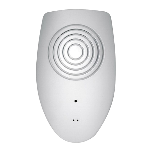TP800