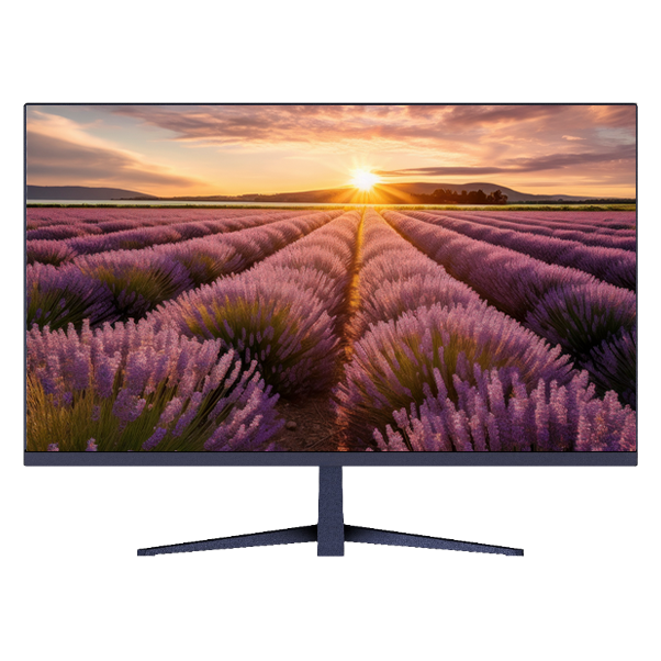 ÉCRAN FULL HD 22" SANS HAUT-PARLEUR