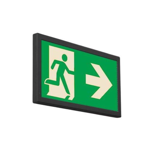 [E_E1S_1H_025_TC_BL] BT-BAES-E-E1S_NOIR