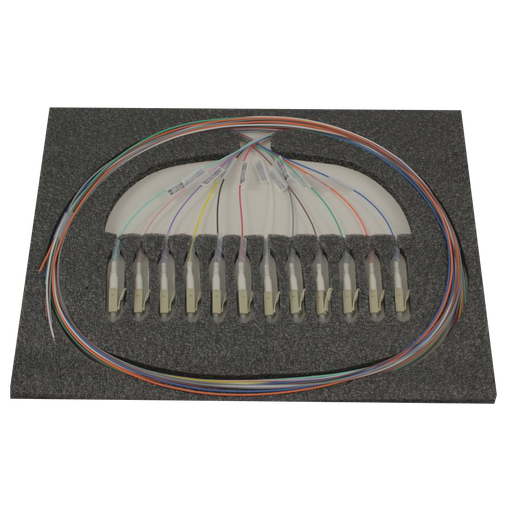 [PIGLC2OM3B12] PIGLC2OM3B12