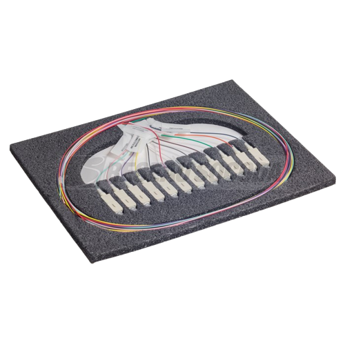 [PIGSC2OS2B12] PIGSC2OS2B12