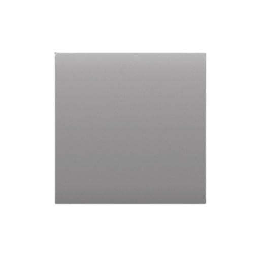 [46009.140.FG] Ajax CenterButton (1-gang/2-way) [55] fog кнопка