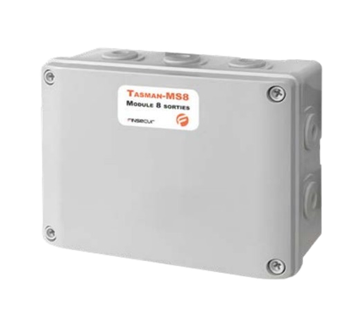 [ACC0073-003] MS8  (TASMAN-MS8)